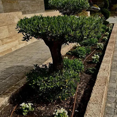 Dream House Affittacamere Sozopol